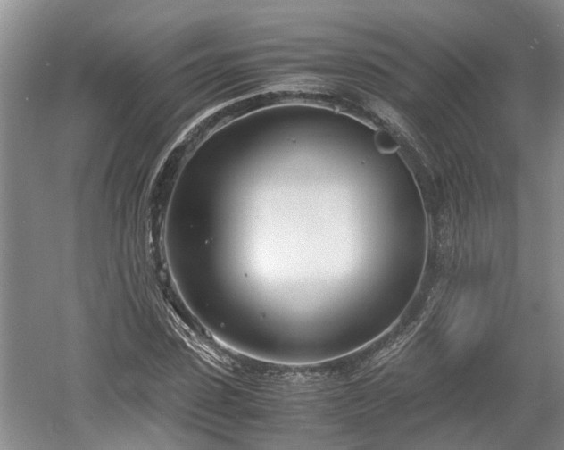 X0000061720923200512050902