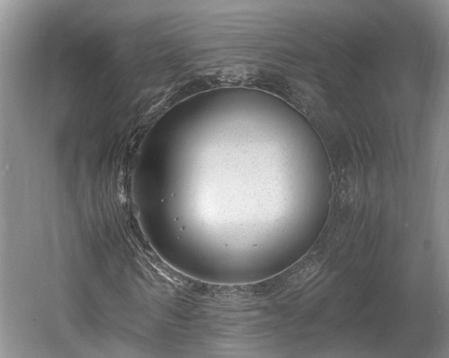 X0000061720962200512050902