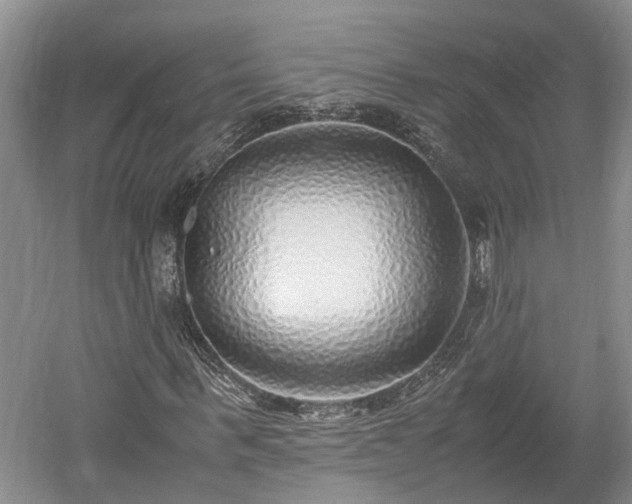 X0000061720963200512050902
