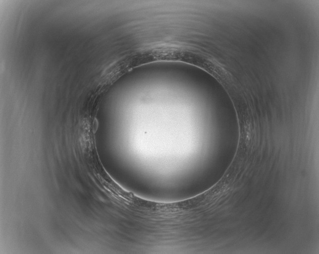 X0000061720964200512050902