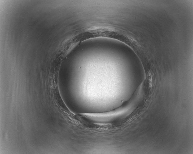 X0000061720965200512050902