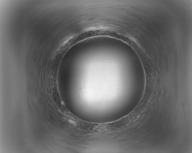 X0000061720967200512050902