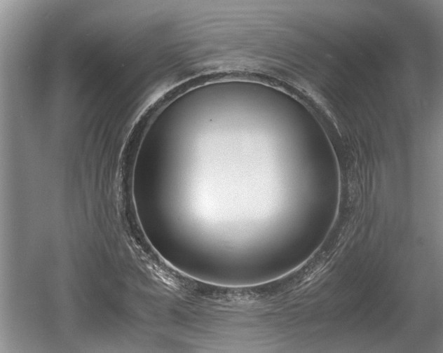 X0000061720975200512050902