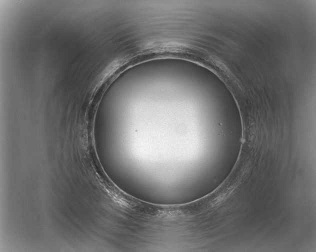 X0000061720978200512050902