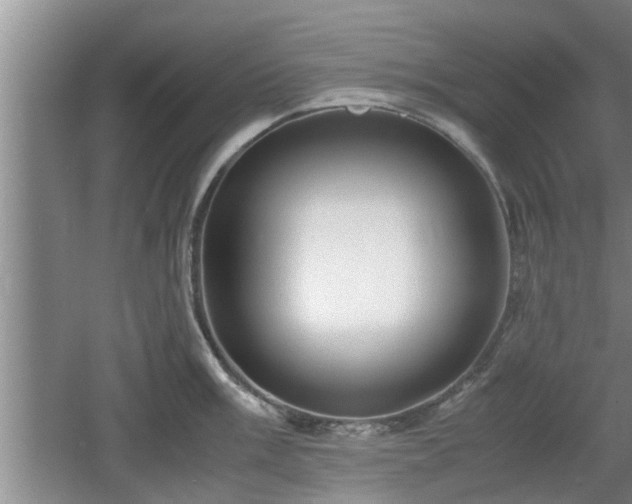 X0000061721003200512050901