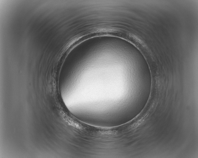 X0000061721025200512050901