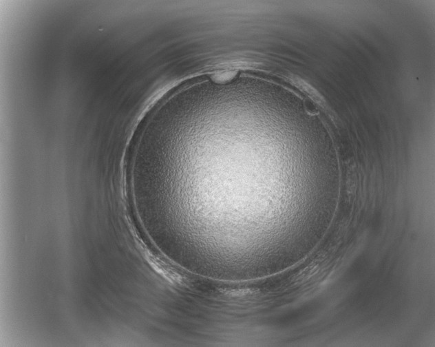 X0000061721031200512050901