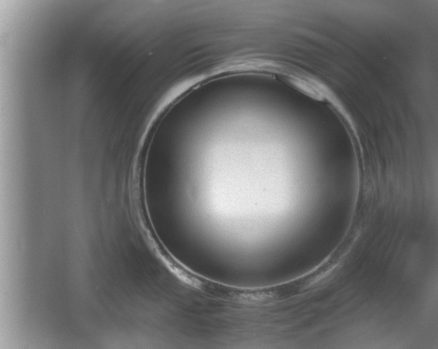 X0000061721053200512050901