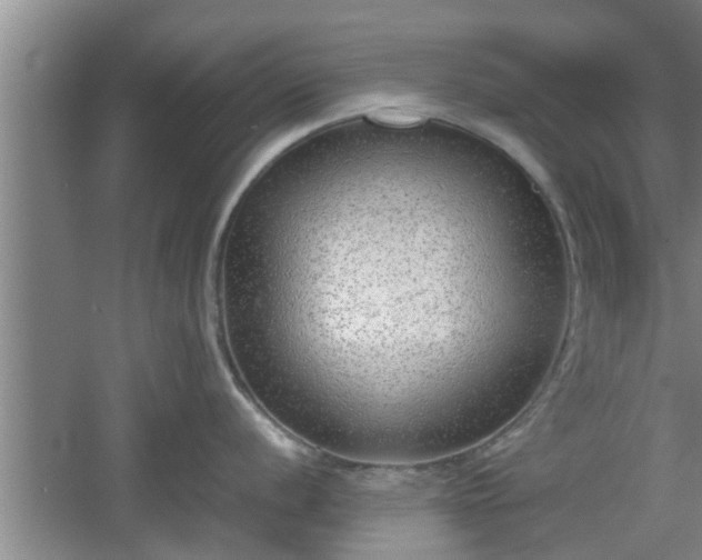 X0000061721056200512050901