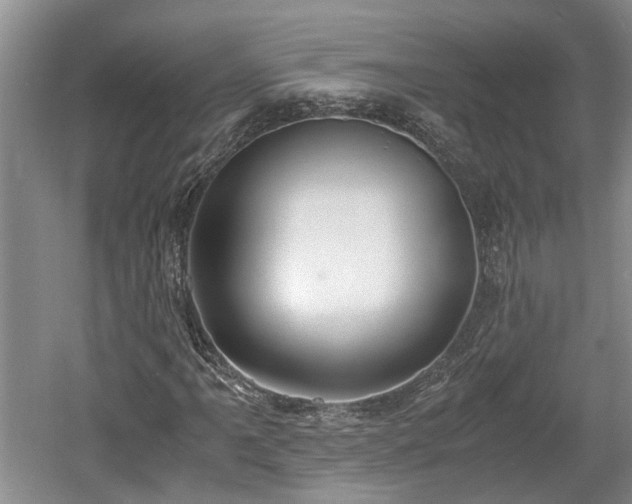 X0000061721061200512050900