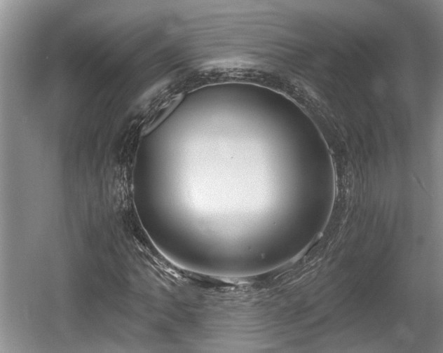 X0000061721062200512050900