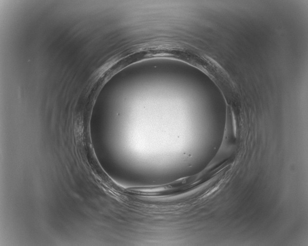 X0000061721065200512050900