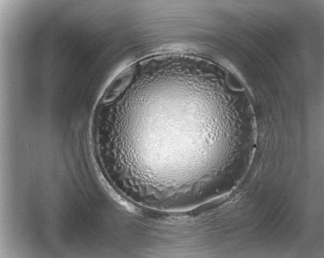 X0000061721091200512050900