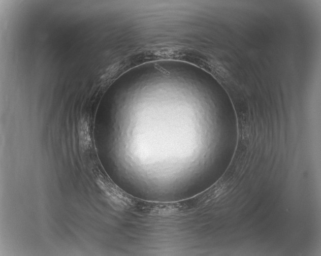 X0000061721106200512050859