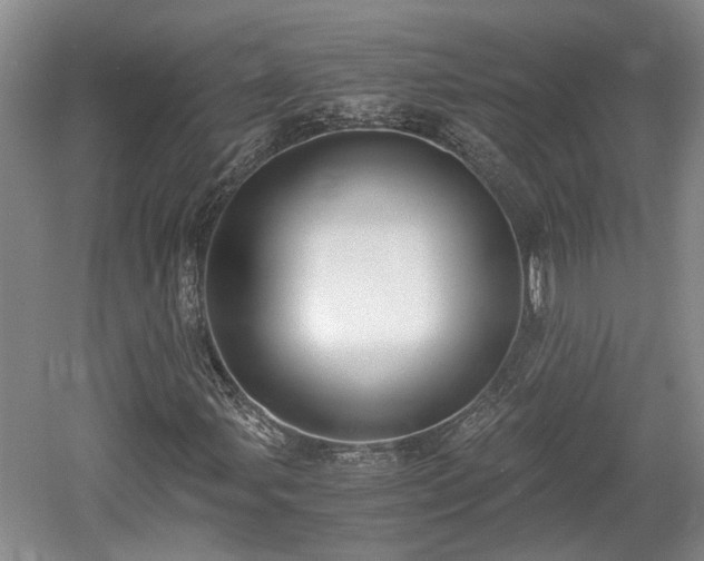 X0000061721107200512050859