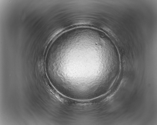 X0000061721121200512050859