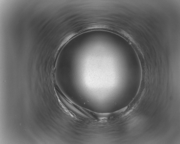 X0000061721137200512050859