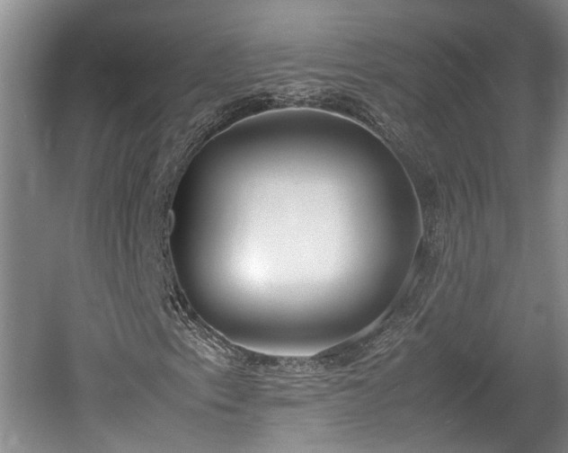 X0000061721153200512050859