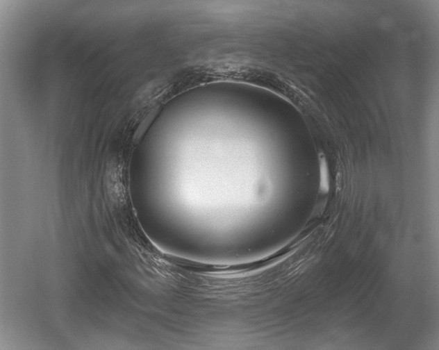 X0000061721156200512050859