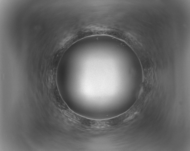 X0000061721157200512050859