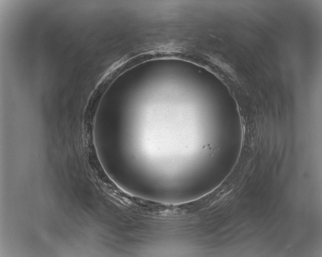 X0000061721160200512050859
