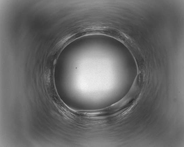 X0000061721161200512050859