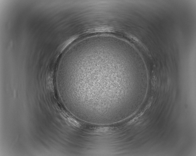 X0000061721162200512050858