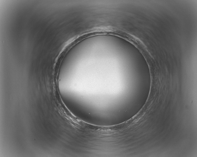 X0000061721168200512050858