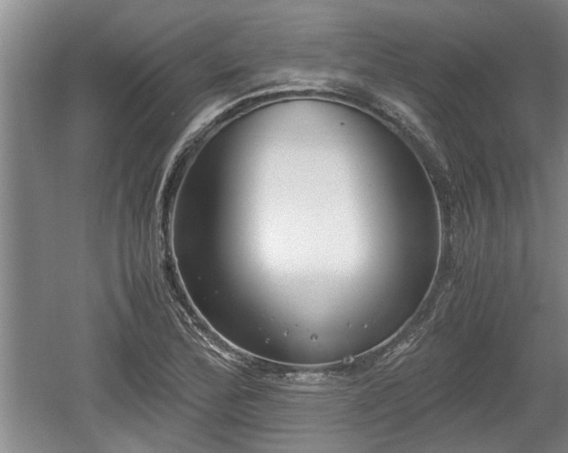 X0000061721172200512050858