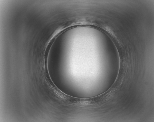 X0000061721173200512050858