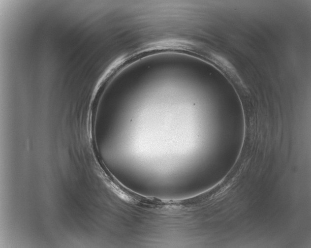 X0000061721180200512050858