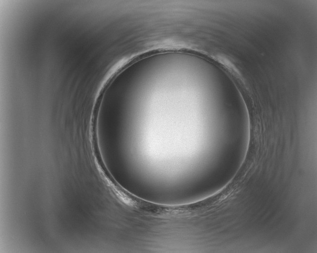 X0000061721183200512050858