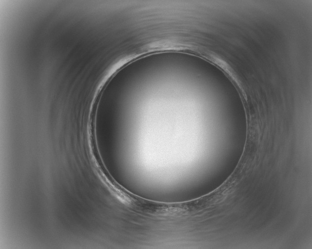 X0000061721187200512050858