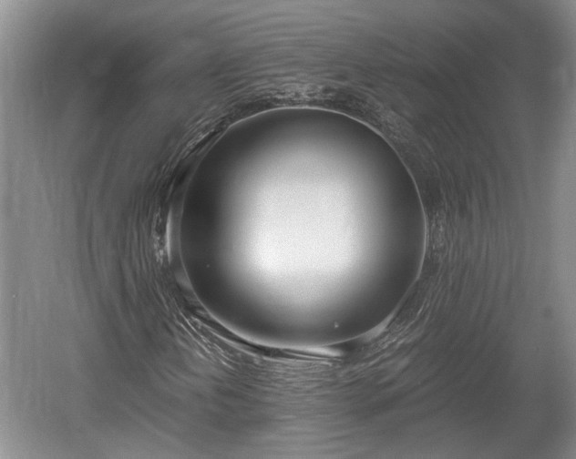 X0000061721202200512050857