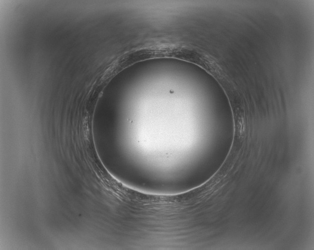 X0000061721204200512050857