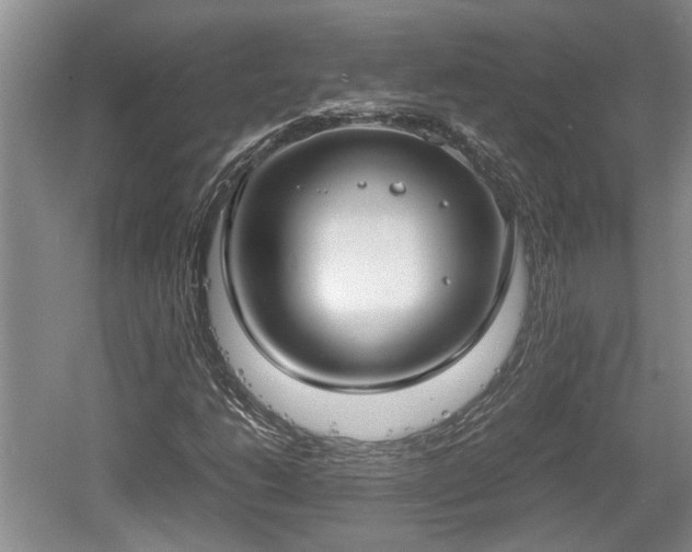 X0000061721206200512050857