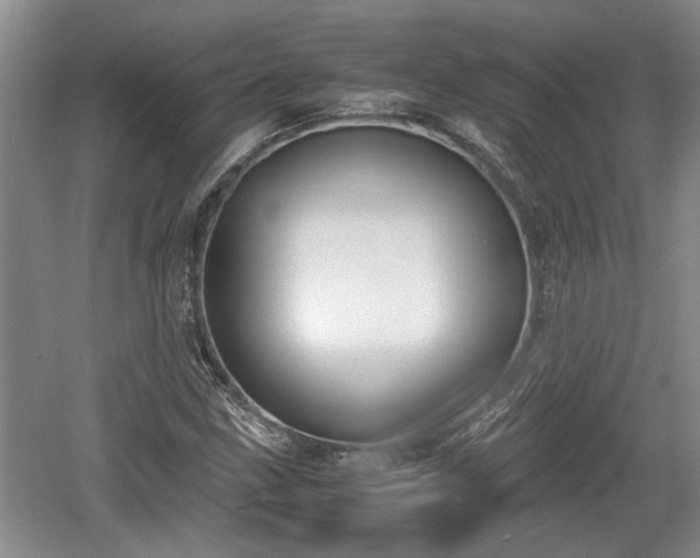 X0000061721211200512050857