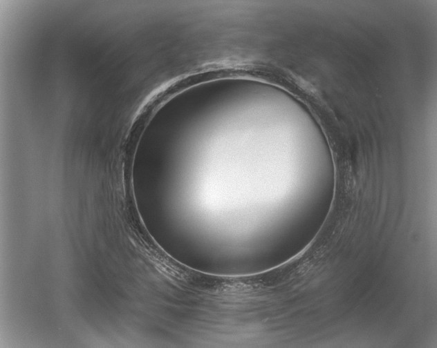X0000061721214200512050857