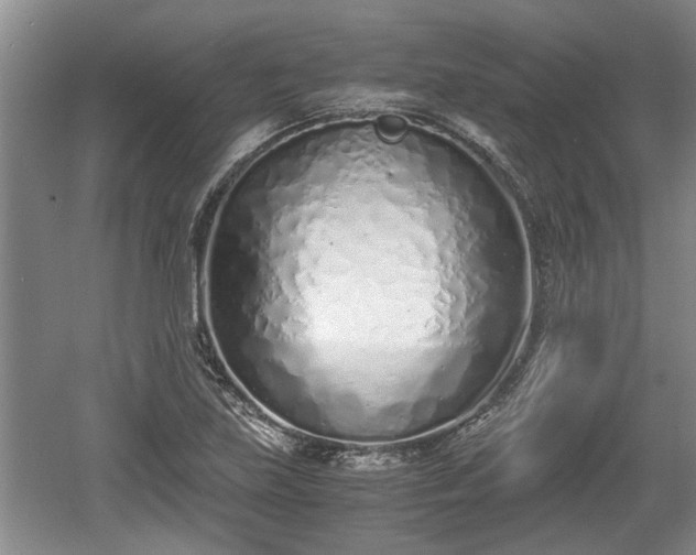 X0000061721219200512050857