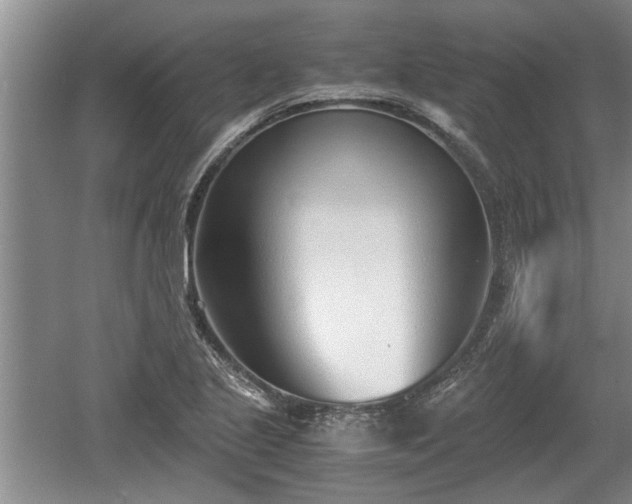 X0000061721221200512050857
