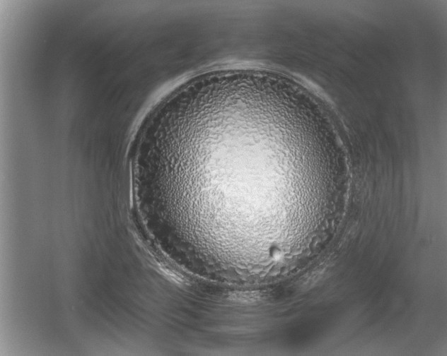 X0000061721223200512050857