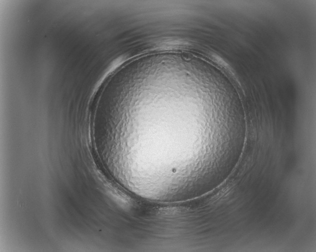 X0000061721227200512050857