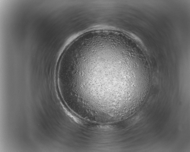 X0000061721231200512050858