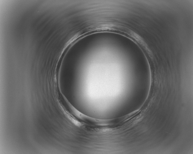 X0000061721234200512050858