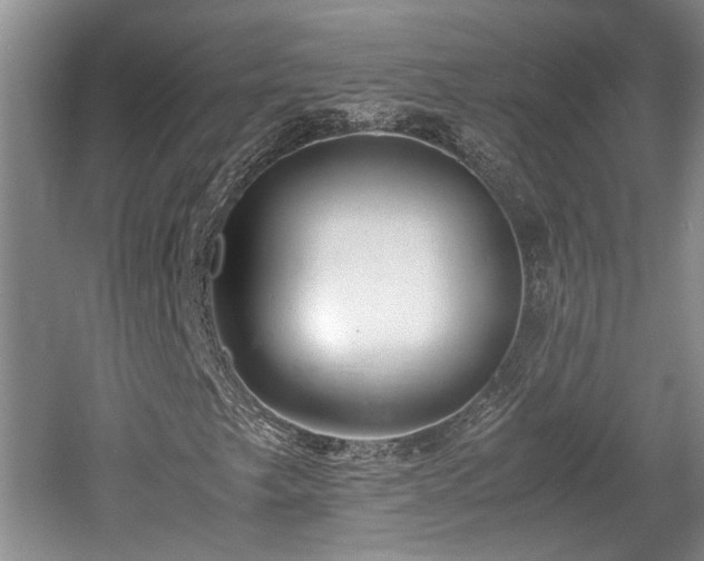X0000061721249200512050857