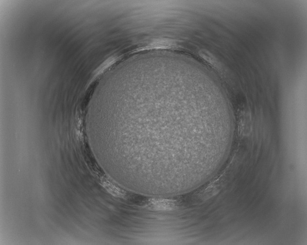 X0000061721258200512050857