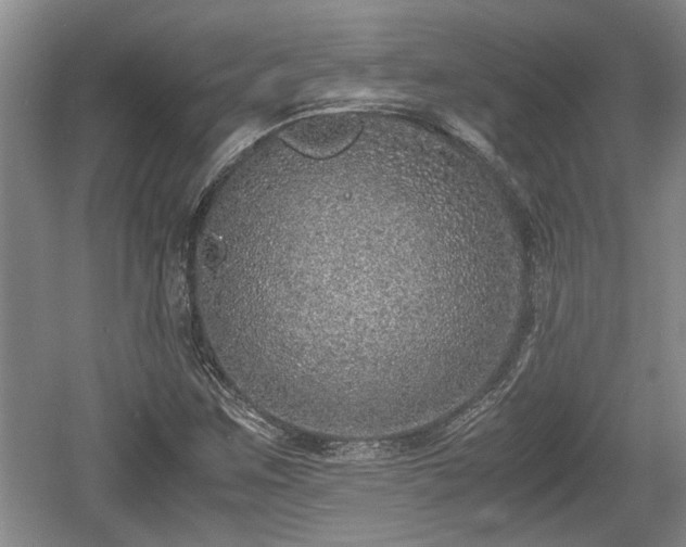 X0000061721259200512050857