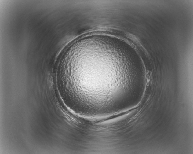 X0000061721260200512050857