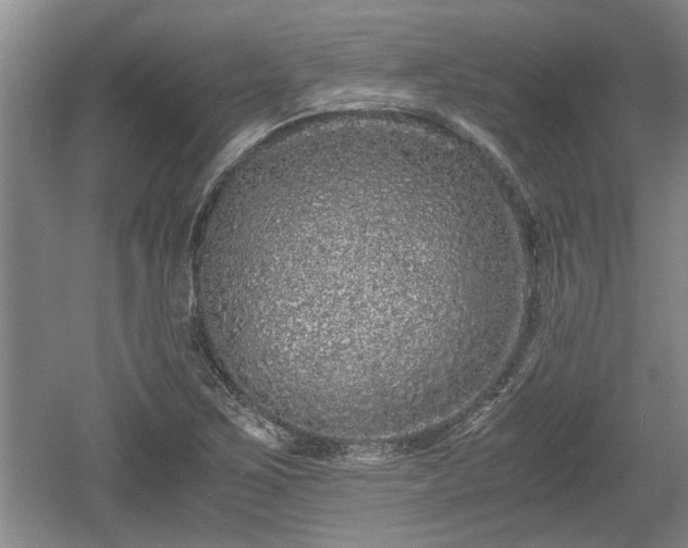 X0000061721267200512050857