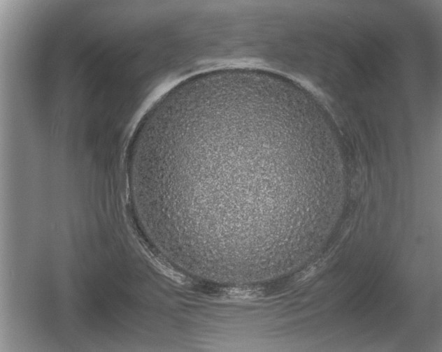 X0000061721271200512050857